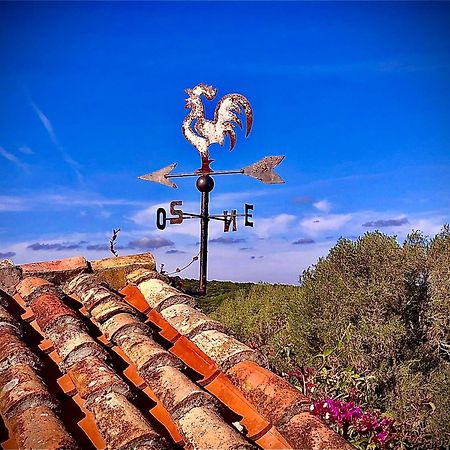 Spartaco Eco Retreat San Pantaleo Sole Ruiu Exteriér fotografie