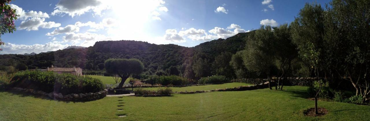 Spartaco Eco Retreat San Pantaleo Sole Ruiu Exteriér fotografie